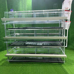 High Quality 160 Birds Galvanized Battery <strong>Cage</strong> <strong>Poultry</strong> Chicken Layer <strong>Cage</strong> H Type Egg Laying Hen <strong>Cages</strong> for <strong>Sale</strong> in Uganda Vietnam - Product Image 1