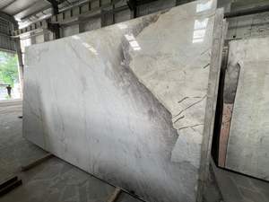 Dalle de pierre Patagonia - Haute qualité 100% naturelle Décoration de sol de luxe pour salon avec design moderne et teintes crème/noir/doré - Product Image 1