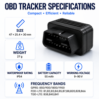 Traceur GPS OBD 4G pour véhicule, localisateur de voiture Plug and Play avec positionnement en temps réel et gestion multi-véhicules
