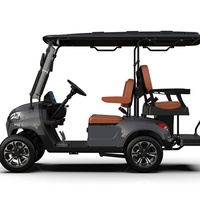 Voiturette de golf électrique