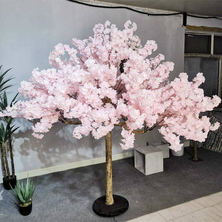 cherry blossom tree 5ft