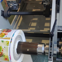 RY 320 Couleur Étiquette Logo Découpe UV Séchoir Flexo Machine D'impression Y8897