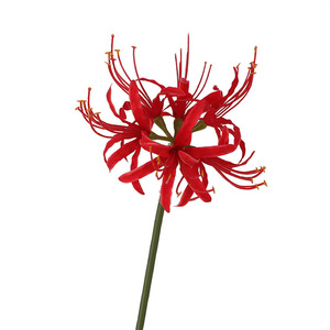 Lirio Araña Artificial de Tallo Único de 30cm-190cm, Estilo Chino Tradicional, Decoración para Bodas y Hogar - Product Image 5