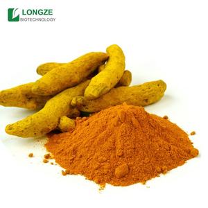 Bubuk ekstrak akar <span class=keywords><strong>Curcuma</strong></span>/Tumeric Wild-cultived berbagai bentuk kemasan pemasok pabrik harga grosir 1kg - Product Image 3