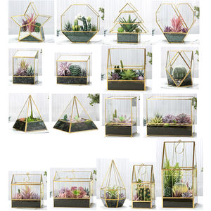 Moos terrarium en métal arbres de noël terrarium en verre en laiton pots de jardinières pour plantes - Product Image 6