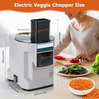 Hachoir Automatique Multifonctionnel en Acier Inoxydable pour Légumes et Fruits, Coupe-Cubes 3-en-1, 220V/50Hz, pour Usines de Transformation de Fruits