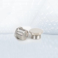 1/4 "3/8" 1/2 "3/4" NPT BSP BSPT Bouchon à tête hexagonale à filetage mâle en acier inoxydable