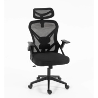 Chaise de bureau ergonomique moderne, réglable en hauteur, avec repose-pieds, en maille, certifiée pour la maison, le bureau, l'école et les salles de conférence