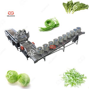 Machine de nettoyage et de séchage des légumes (colza, pommes de terre, carottes, choux, oignons, laitues) et de lavage et d'emballage - Product Image 2