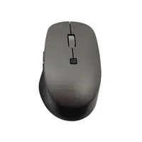 Ergonomic Race Smart Esports 6D Gamer Gaming Mouse, 2.4 ghz