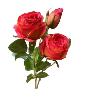Jh Fabriek Drie Hoofd Pagode Roos Aangepaste Kleurrijke Decoreren Bloemen Voor Bruiloft Of Feestdagen