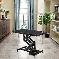 Table de toilettage pour chiens professionnelle, robuste, en acier inoxydable, équipement de toilettage pour animaux de compagnie hydraulique