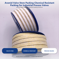 Paking Katup Aramid Tahan Bahan Kimia untuk Katup Proses Industri