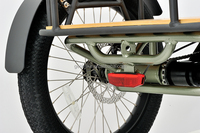 Tricycle électrique pour personnes handicapées de 20 pouces de haute qualité avec moteur arrière de 250 W, batterie intégrée de 48 V 15 Ah et système de frein à disque