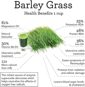 Private Label Superfoods Navita Barley Grass Powder Drinks Barley Grass Juice Powder For Lose Weight Body Detox Diet