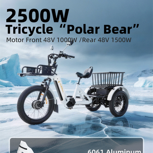 <span class=keywords><strong>Tricycle</strong></span> <span class=keywords><strong>électrique</strong></span> SOBOWO Polar Bear, 3 vitesses, pneus <span class=keywords><strong>tout</strong></span>-<span class=keywords><strong>terrain</strong></span>, <span class=keywords><strong>tricycle</strong></span> <span class=keywords><strong>adulte</strong></span> - Product Image 2