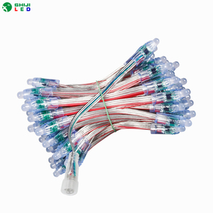 Addressable 12mm UCS1903 <span class=keywords><strong>WS2811</strong></span> DC12V 24V lampu piksel LED lampu peluru Raywu konektor tali lampu dalam ruangan luar ruangan - Product Image 1