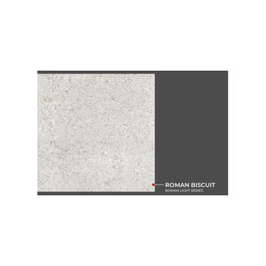 Carrelages de sol en biscuit romain au design moderne de qualité supérieure Revêtement de sol élégant de 800x800mm pour villas - Product Image 1