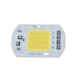 20W 30W 50W AC110V không cần trình điều khiển LED COB Chip Bead thông minh IC chip Trắng cho đèn pha LED Spotlight