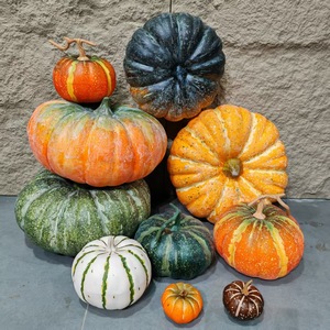 Modello di visualizzazione per fotografia di decorazione della finestra del centro commerciale di Halloween decorazione di frutta artificiale di zucca finta - Product Image 4