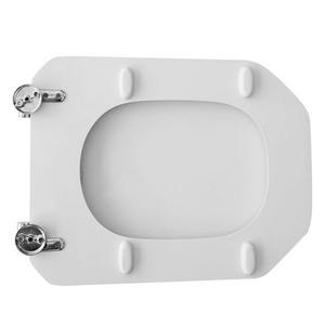 Sedili WC Globe Royal Glass Copriwater - Product Image 2