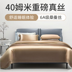 Mulberry Silk Four Piece <b>Bedding</b> <b>Set</b> 19 40 Momme Solid Color Antibacterial Home Use Winter 2025 - Product Image 5