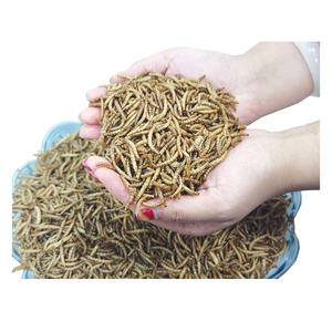 Vers de farine jaunes séchés, riches en protéines, vers séchés pour oiseaux, poissons, nourriture pour animaux de compagnie, insectes comestibles, vers de farine séchés - Product Image 2