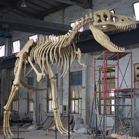Chine Zigong Fabricant Réplique Artificielle Réelle Fossiles De Dinosaure Modèle Grand À Vendre