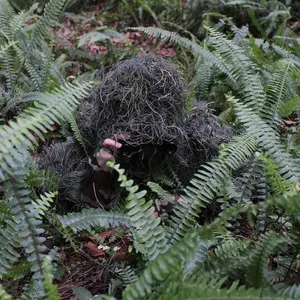 Zennison Outdoor Full Body Ghillie Suit Camouflage 3D Grass Camouflage Ghillie Suit