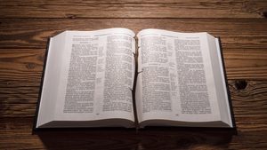 Papel de Impresión Blanco para Biblias, Superficie Lisa, Buena Opacidad - Product Image 6