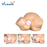 Simulador de Partería Modelo Anatómico de Pelvis Femenina Modelo de Entrenamiento de Habilidades de Parto Modelo de Formación en Partería