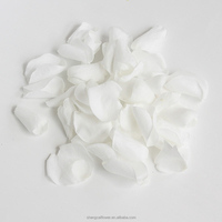 Pétales de rose préservés faits à la main de haute qualité, blanc neige, 100% naturels, écologiques, confettis de fleurs séchées, pour la Saint-Valentin