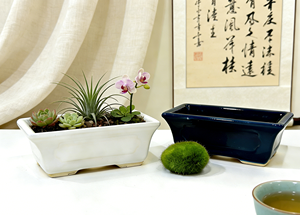 Planteurs <span class=keywords><strong>de</strong></span> bonsaï <span class=keywords><strong>de</strong></span> style chinois en gros - Pots en céramique longs et brillants pour la décoration <span class=keywords><strong>de</strong></span> bonsaï <span class=keywords><strong>de</strong></span> jardin intérieur et extérieur - Product Image 4