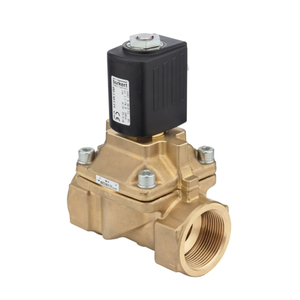 Repuestos de pistón chinos para montaje sobre patines con solenoide Burket 6407 servoasistido de 2/2 vías - Product Image 5