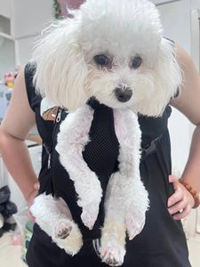 Pet Carrier <b>Backpack</b> for <b>Small</b> Dogs Cats Comfortable Padded Shoulder Straps Breathable Mesh Canvas Material - Product Image 2