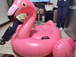 Jouets de <span class=keywords><strong>piscine</strong></span> gonflables et flotteur de <span class=keywords><strong>piscine</strong></span> flamant rose gonflable à louer - Product Image 6