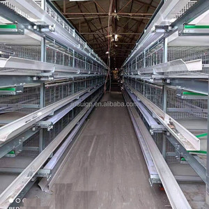 Jaula de batería tipo A/H galvanizada personalizada para gallinas ponedoras de 20000-30000 aves, de 3 niveles y 4 escalones con escalera - Product Image 3