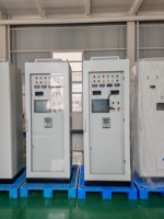 Redresseur à thyristors IBGT 800A 100V pour l'industrie de la fusion des métaux non ferreux