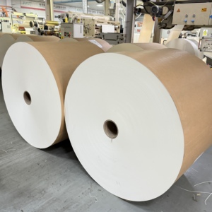 Rouleau de papier couché PE blanc pour gobelets et bols à salade, prix usine Chine, pour machines de fabrication de gobelets à café - Product Image 4