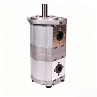 Pompe à double engrenage haute efficacité CBWL-320/310 avec protection anti-déformation pour applications hydrauliques industrielles lourdes