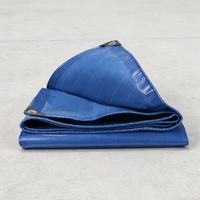 Rouleau de bâche PE enduite personnalisable 100gsm 200gsm avec œillets, robuste et résistant aux déchirures pour abri de voiture et camping