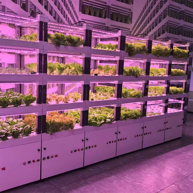 Smart Indoor Garden Box APP Controlled Hydroponic System Home Kitchen Herb LED Soilless Cultivation Automatic Watering Pump