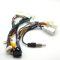 Harness Kabel Listrik Mobil Distribusi Tinggi 2*10 Pin Harness Kawat Mobil untuk Toyota