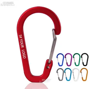 BAICHAOLI OEM/ODM 5 D kawat datar logam paduan aluminium kustom logo carabiner kait klip kait jepret untuk tas berkemah mendaki bola