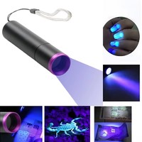 Lampe de poche ultraviolette Lentille de filtre noir USB Lumière noire Tache pour animaux de compagnie Punaise de lit Détecteur d'argent minéral Blacklight 365NM Lampe de poche UV