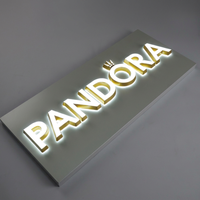 Panneau d'affichage LED acrylique étanche pour bâtiment, lettres en relief lumineuses, lettres 3D imprimées, lettres frontales en métal inoxydable