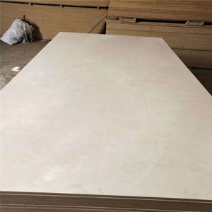 Ván Ép Bạch Dương 12Mm 15Mm 24Mm Ván Ép Bạch Dương Nga Baltic Trắng Fenolico 18Mm - Product Image 5