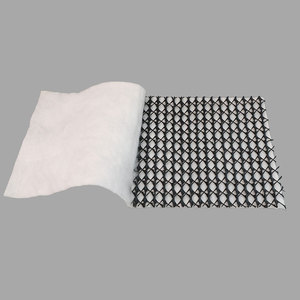 Géogrille de drainage géocomposite avec géotextile non tissé, filet de drainage 3D pour déponement - Product Image 1