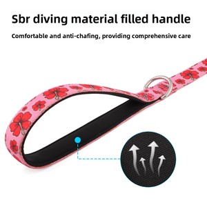 Heat-transfer Print Nylon Dog Leash P-style Collar; Suitable for Small/medium/large Breeds; Prevents Large Dogs <strong>Getting</strong> <strong>Lost</strong> - Product Image 3