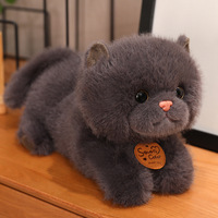 Peluche chaton mignon simulé, jouet en tissu doux pour filles et garçons, en coton PP lavé, design ODM, idéal pour soulager le stress